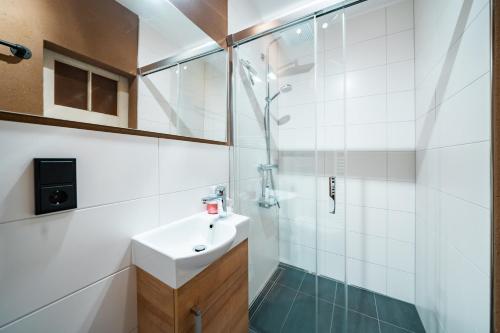 uma casa de banho com um lavatório e um chuveiro em Fewo Janks I 11A-Remise I Alte Schmiede -Tinyhouse em Witzenhausen