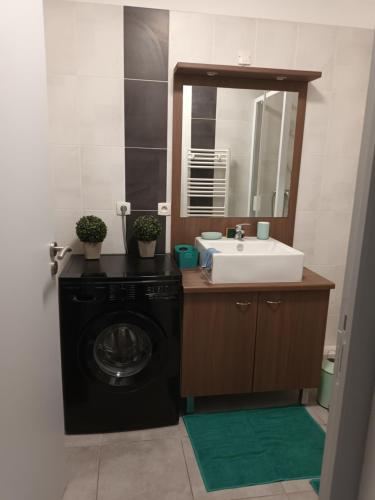 La salle de bains est pourvue d'un lave-linge et d'un lavabo. dans l'établissement Superbe appartement et Parking proche du Centre du Monde, à Perpignan