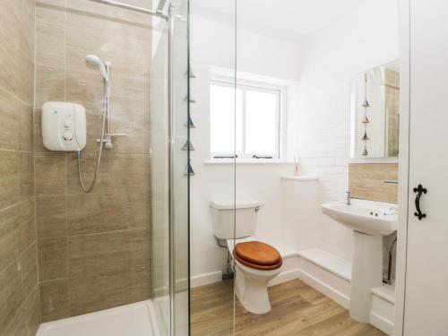 a bathroom with a shower and a toilet and a sink at The Old Kennels in Sidmouth