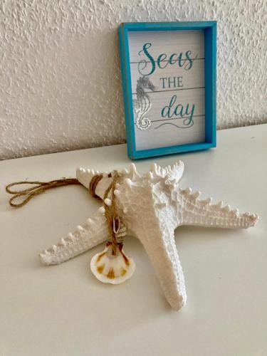 a white starfish on a table next to a picture at Gästehaus Rheinstetten Forchheim in Rheinstetten