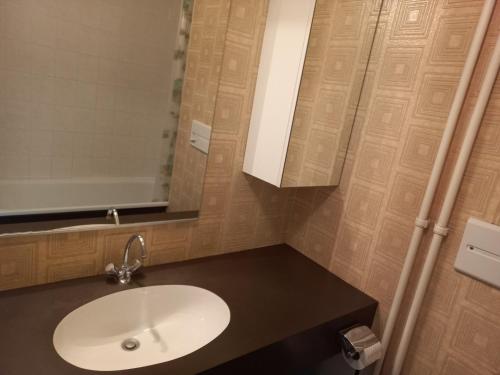 La salle de bains est pourvue d'un lavabo et d'un miroir. dans l'établissement Studio Tignes, 1 pièce, 4 personnes - FR-1-449-58, à Tignes