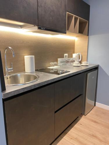 a kitchen with a sink and a counter top at Living Studio Apartments in Tirana