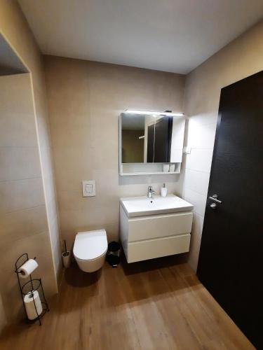 a bathroom with a toilet and a sink and a mirror at Apartments Hlapi with SPA in Kobarid