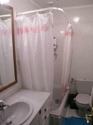 a bathroom with a shower and a sink and a toilet at Antia - Casita de piedra en Lariño in Carnota