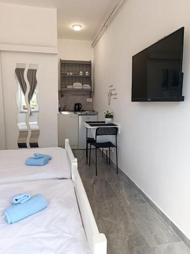 a room with two beds and a television on a wall at Studio Apartman Brletić in Tounj