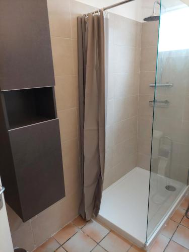 a shower with a glass door in a bathroom at Mabouya in Le Vauclin