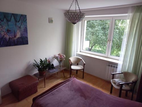 - un salon avec un lit et une fenêtre dans l'établissement miły pokój niedaleko centrum i starego miasta, à Varsovie