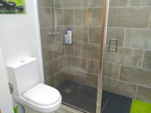a bathroom with a shower and a toilet at vacaciones en pineda con 2 piscinas, playa a 5 min in La Pineda