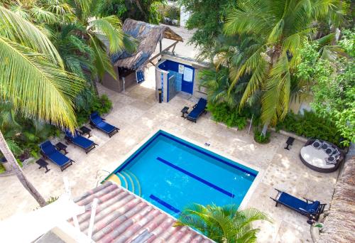an overhead view of a swimming pool with chairs and palm trees at Hotel Santorini Express y Cabañas in Santa Marta
