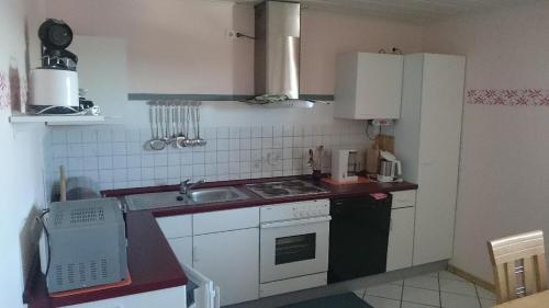 a kitchen with a sink and a stove top oven at Ferienwohnung Piller in Hohenau