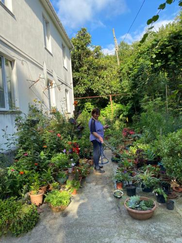 a woman standing in a garden with plants at Venera's Guest House in Batumi