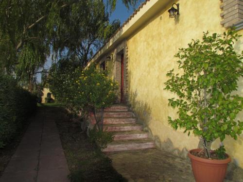 Κήπος έξω από το Agriturismo Simbirizzi