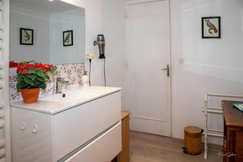 La salle de bains est pourvue d'un lavabo blanc et d'une plante. dans l'établissement villa marguerite 65 rue legout lesage 76260 ponts et marais, à Mers-les-Bains