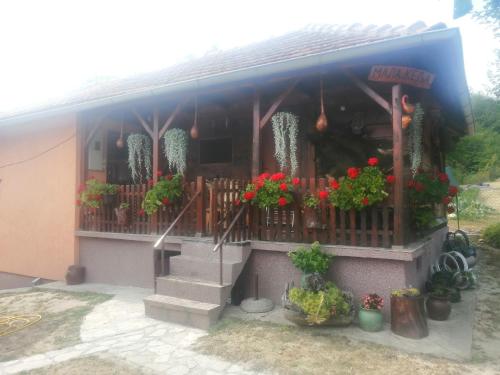 a house with flowers and plants in front of it at Mala Kelja in Rudnik