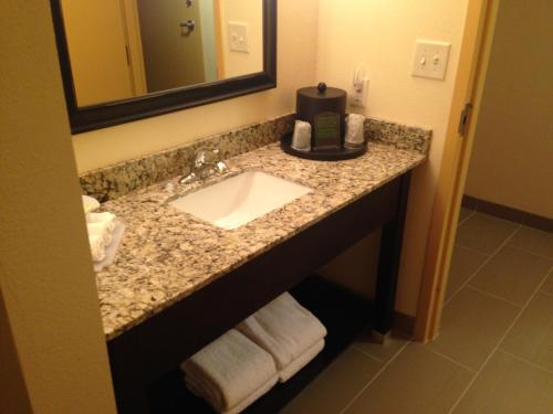 a bathroom counter with a sink and a mirror at Holiday Inn Express Augusta Downtown by IHG in Augusta