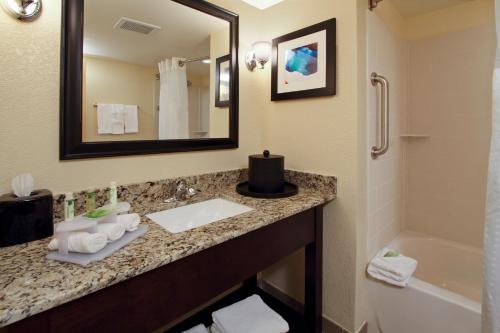 a bathroom with a sink and a tub and a mirror at Holiday Inn Express Augusta Downtown by IHG in Augusta