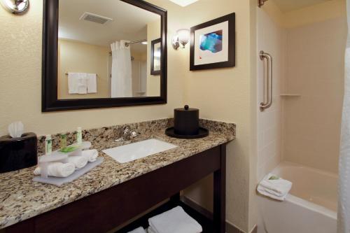 a bathroom with a sink and a tub and a mirror at Holiday Inn Express Augusta Downtown, an IHG Hotel in Augusta