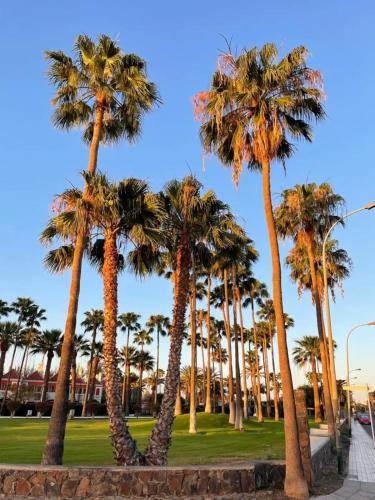 Playa del Ingles Vitamine D garantie