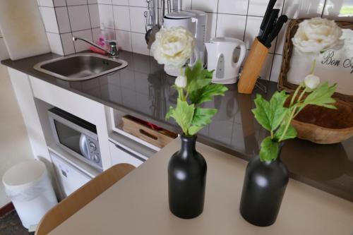 Apartments Cour d'Aixにあるキッチンまたは簡易キッチン
