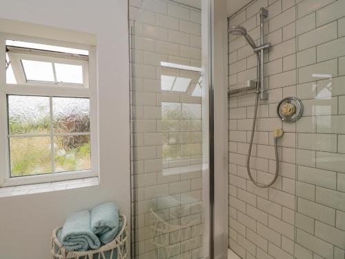 een badkamer met een douche en een glazen deur bij Dorset View in Blandford Forum