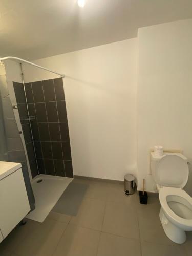 a bathroom with a toilet and a shower at Studio rénové proche commodités in Pessac