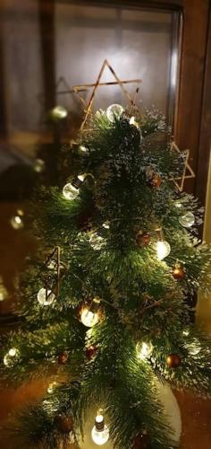 a green christmas tree with lights on a table at Apartamento Rural Sefardí, Barrio Judío de Hervás in Hervás