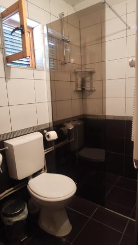 a bathroom with a white toilet and a window at Jovanov Residence - Remote & Accessible in Dolna Matka