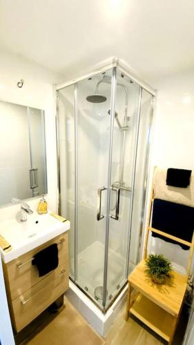 La salle de bains est pourvue d'une douche et d'un lavabo. dans l'établissement Studio Exotique Hyper-Centre Enghien 12min Paris, à Enghien-les-Bains