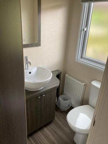 a bathroom with a sink and a toilet at Bumblebee Lodge in Tintagel