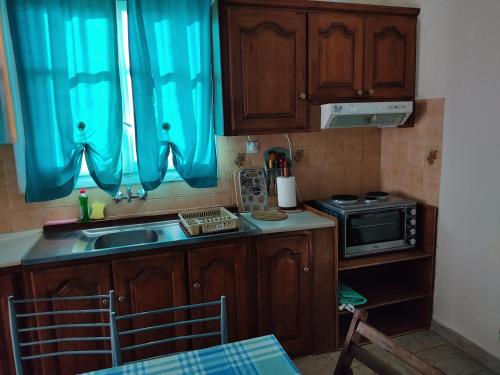 a kitchen with wooden cabinets and a sink and a microwave at Villa Lena in Kastraki
