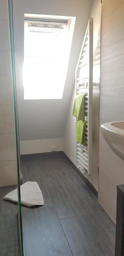 a bathroom with a shower and a sink and a mirror at Wohlfühlapartment Nürnberg Eibach in Nuremberg
