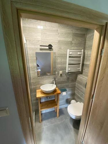 uma casa de banho com um lavatório, um WC e uma televisão em Noclegi 25 H em Zakopane