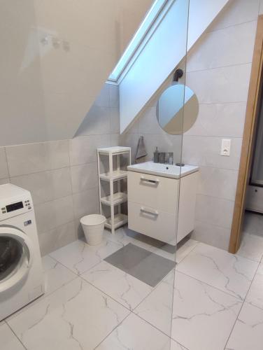 a bathroom with a sink and a washing machine at Apartamenty Perła Orawy in Zubrzyca Dolna