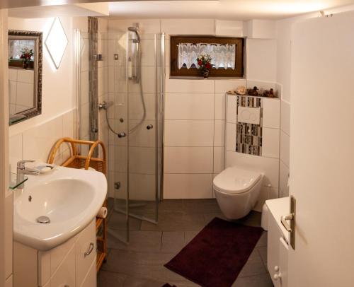 een badkamer met een wastafel, een douche en een toilet bij Ferienwohnung Auszeit Perle des Ohmtales in Homberg an der Ohm
