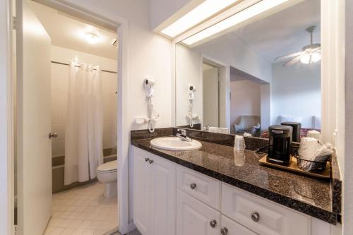 a bathroom with a sink and a toilet and a mirror at Captain's Table Hotel by Everglades Adventures in Everglades City