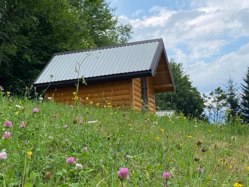 a cabin in the middle of a field of flowers at Tara Place - Camp Rabrenovic in Mojkovac