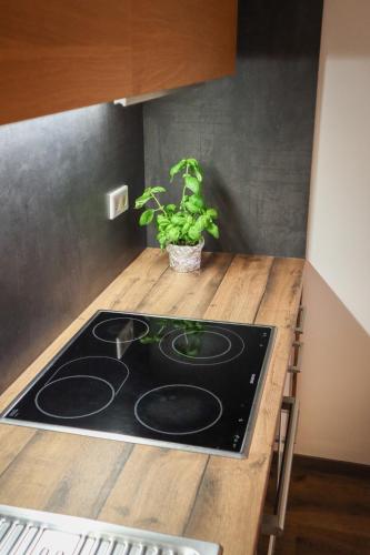 a stove top in a kitchen with a potted plant at Living8-Appartements in Bad Ischl
