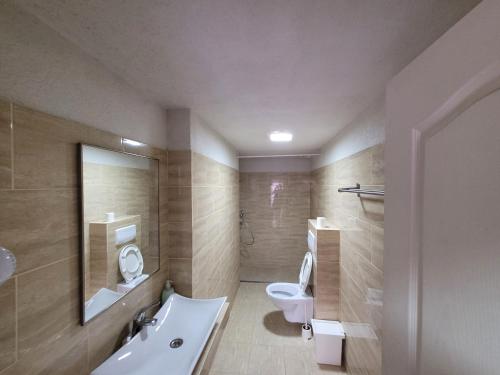 ein Bad mit einem WC und einem Waschbecken in der Unterkunft Vila Kalypso in Schitul