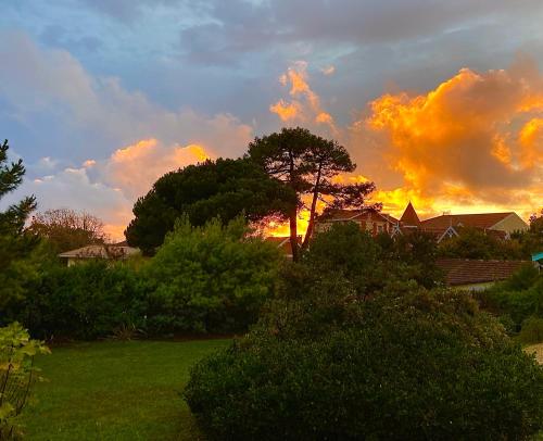 a sunset over a yard with trees and houses at L'Ecume des Jours in Soulac-sur-Mer