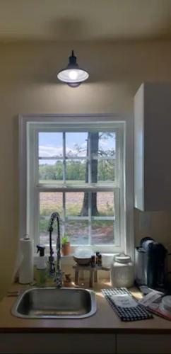Tiny FARM Cottage - POOL - 30 Min to BEACH – Photos 3