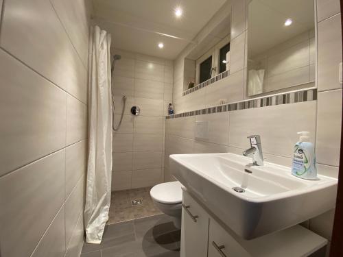 BachhagelにあるFerienwohnung Eva mit Blick ins Grüneの洗面台とトイレを備えた白いバスルーム