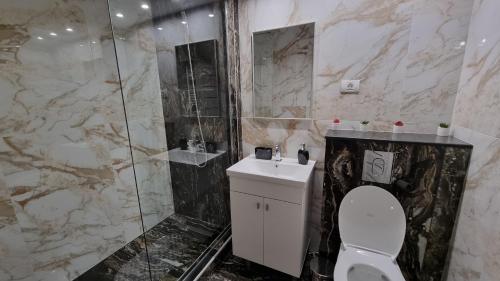 La salle de bains est pourvue de toilettes, d'un lavabo et d'une douche. dans l'établissement Apartament Jenny, à Mangalia