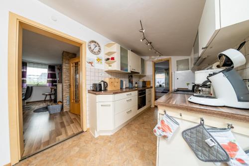 Η κουζίνα ή μικρή κουζίνα στο Ferienwohnung Leipzig- Hirschfeld Apartments