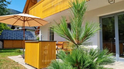 Zahrada ubytování Apartments Vila Darja