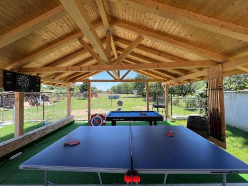 a large blue ping pong table in a pavilion at Pensiunea Valea Șușiței, Ciubar, Sauna, ATV, Safarii Jepp Offroad Ghid Turistic, Climbing, Rafting, Paragliding in Târgu Jiu