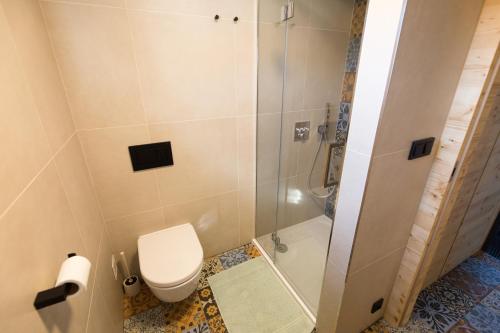 La salle de bains est pourvue d'une douche et de toilettes. dans l'établissement Sklep Mozajka, à Velké Bílovice