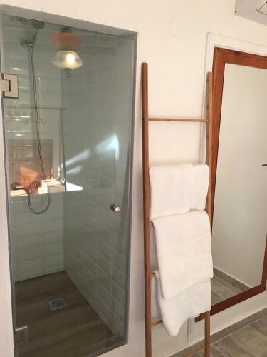 a shower with a glass door and a towel rack at Irini’s Attic in Nea Irakleia