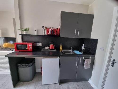 een kleine keuken met een magnetron en een wastafel bij Grey Stone Studio Apartments in Halifax