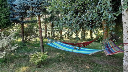 two hammocks hanging from trees in a forest at Noclegi u Przewodników - Zwiedzaczek in Lubawka