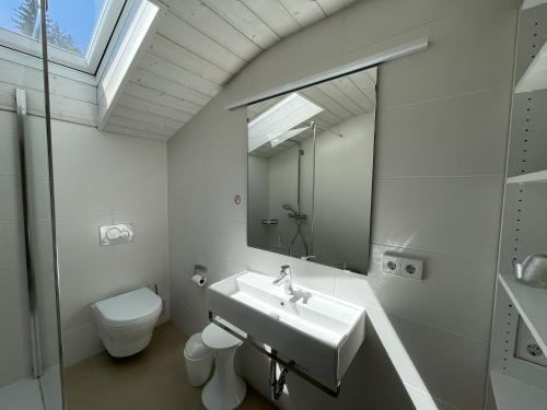 een badkamer met een wastafel, een toilet en een spiegel bij Fewo 1 am Auweg in Hirschegg